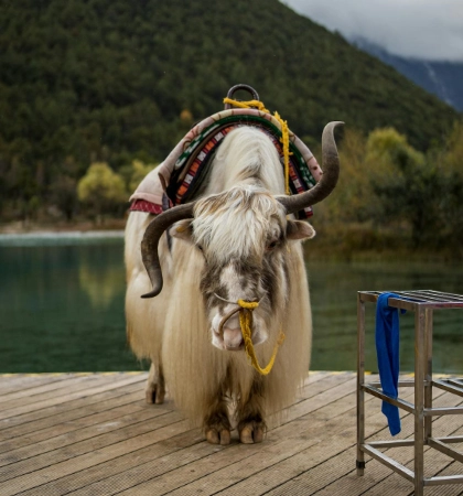 Tibet Destination