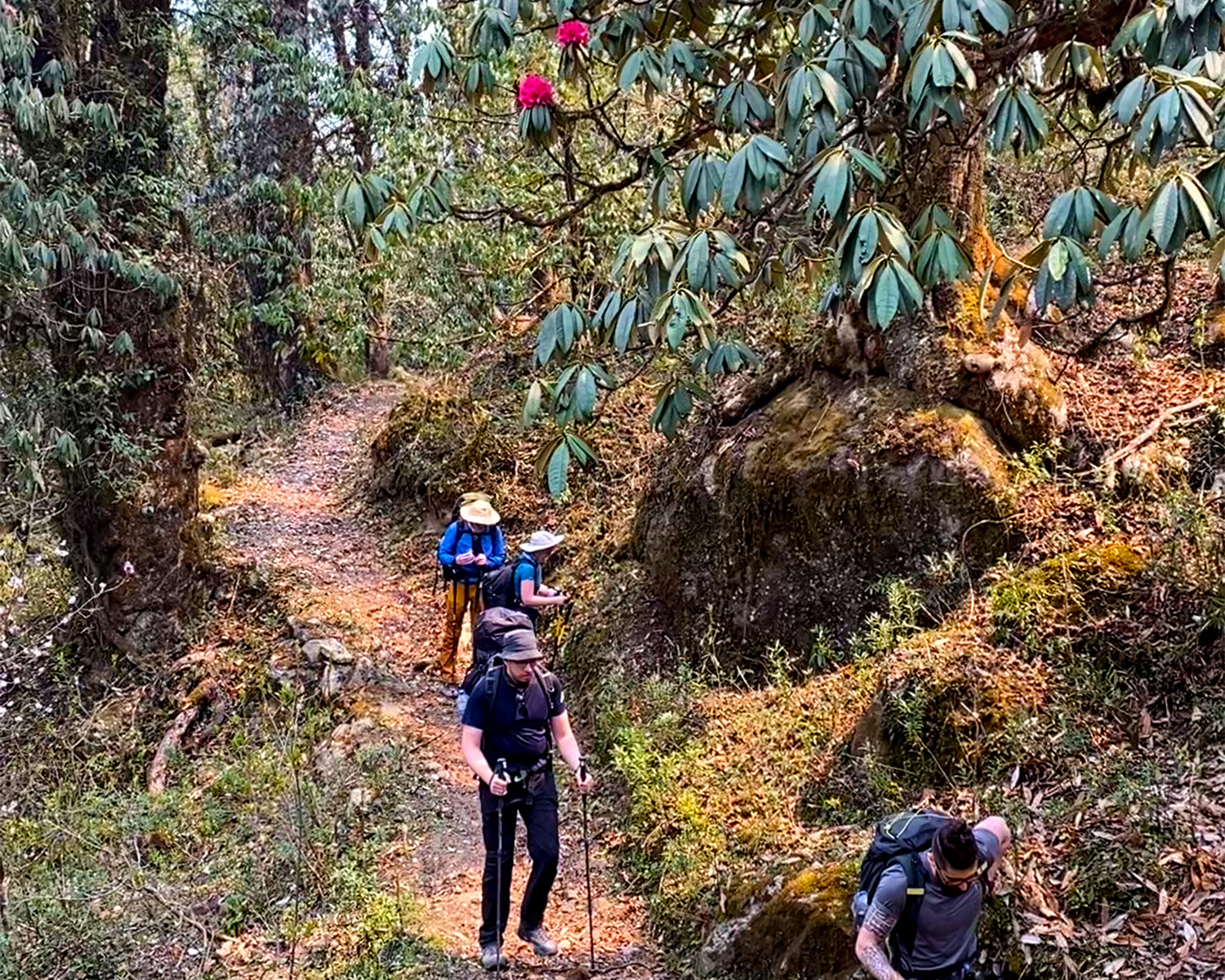 Trek Day 4