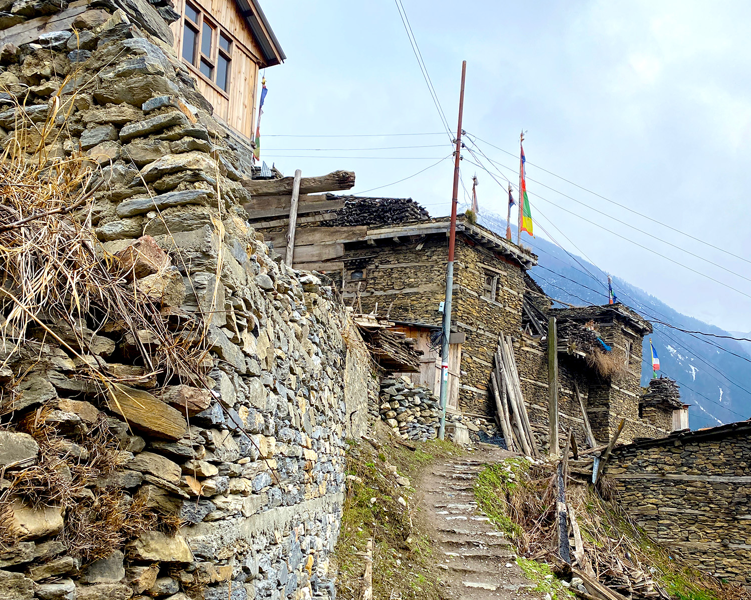 Trek Day 5