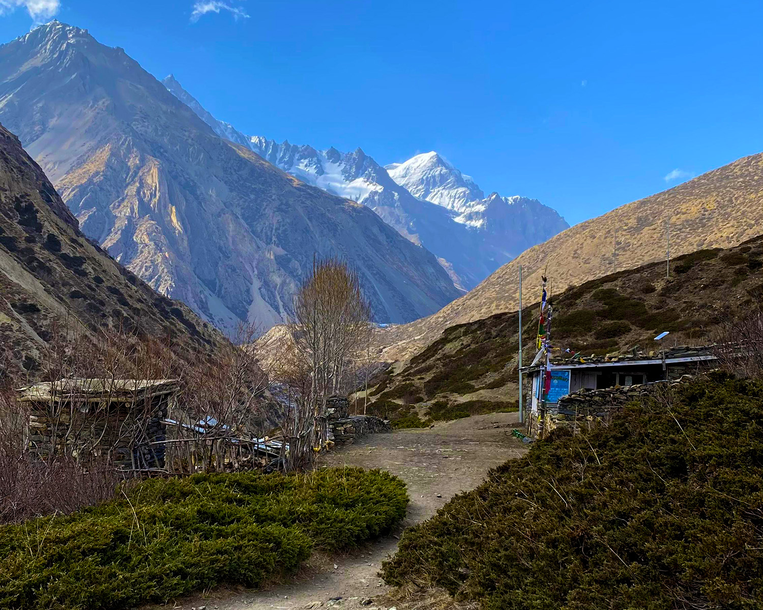 Trek Day 9