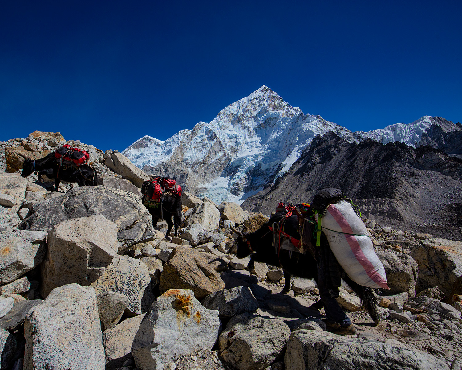 Trek Day 8