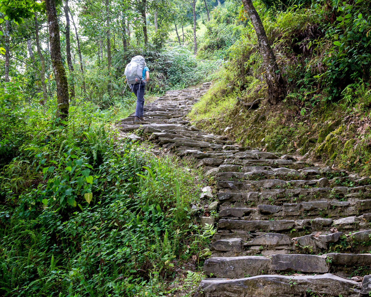 Trek Day 4