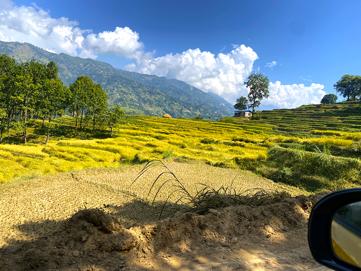 Trek Day 14
