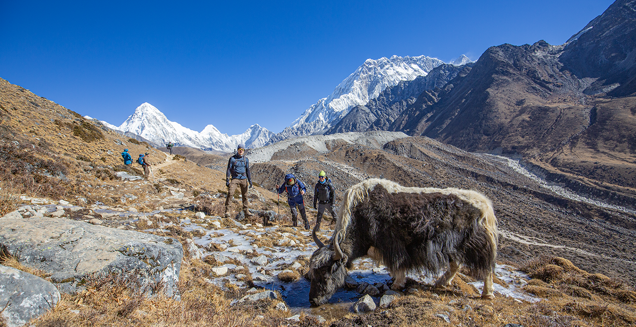 Trek Day 8