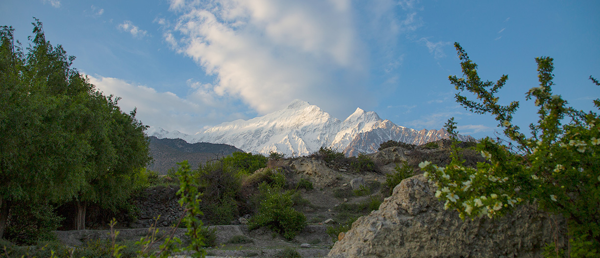 Mountain & Jungle