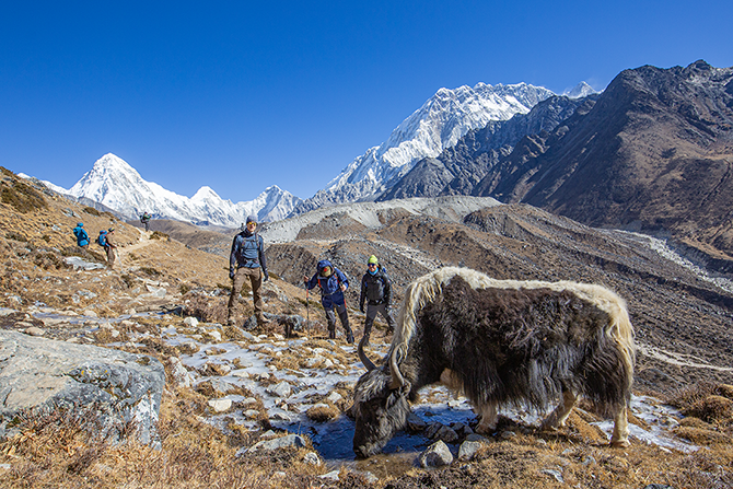 Trek Day 11